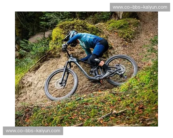 山地车运动表现：把速度、稳定与乐趣一起骑进山野